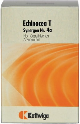 SYNERGON KOMPLEX 4a Echinacea T Tabletten