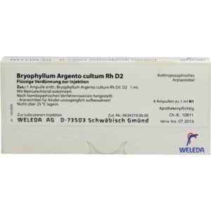 BRYOPHYLLUM ARGENTO cultum Rh D 2 Ampullen