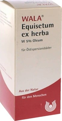 Equisetum ex herba W 5% Öl