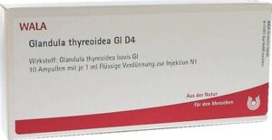 Glandula thyreoidea Gl D4 Ampullen