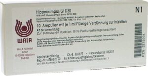 Hippocampus GL D30
