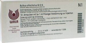 Bulbus olfactorius GL D5 Ampullen