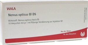 Nervus opticus Gl D5 Ampullen