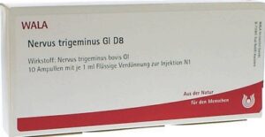 Nervus trigeminus Gl D8 Ampullen