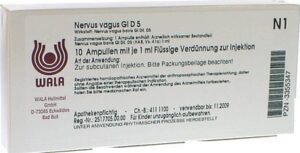 Nervus vagus Gl D5 Ampullen