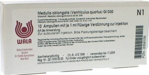 MEDULLA OBLONGATA Ventriculus quartus GL D 30 Amp.