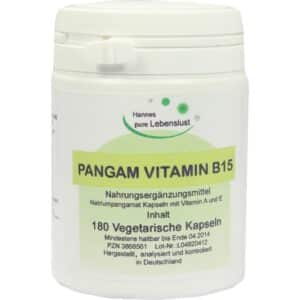 PANGAM Vitamin B15 Vegi Kapseln