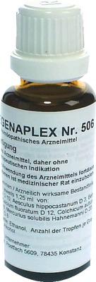 REGENAPLEX Nr.506 b Tropfen