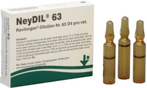 NEYDIL Nr.63 Revitorgan Dil.D 4 pro Ampullen vet.