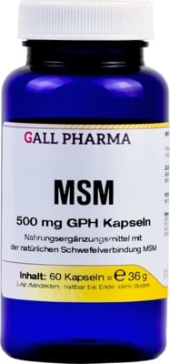 MSM 500 mg GPH Kapseln