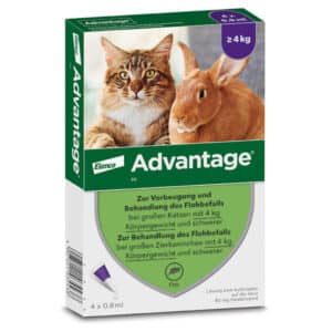 Advantage 80mg Für große Katzen und große Zierkaninchen