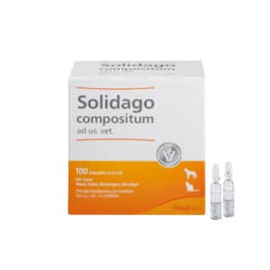 Solidago compositum ad us. vet. Ampullen