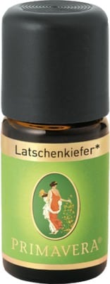 LATSCHENKIEFER Bio ätherisches Öl