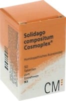 SOLIDAGO COMPOSITUM Cosmoplex